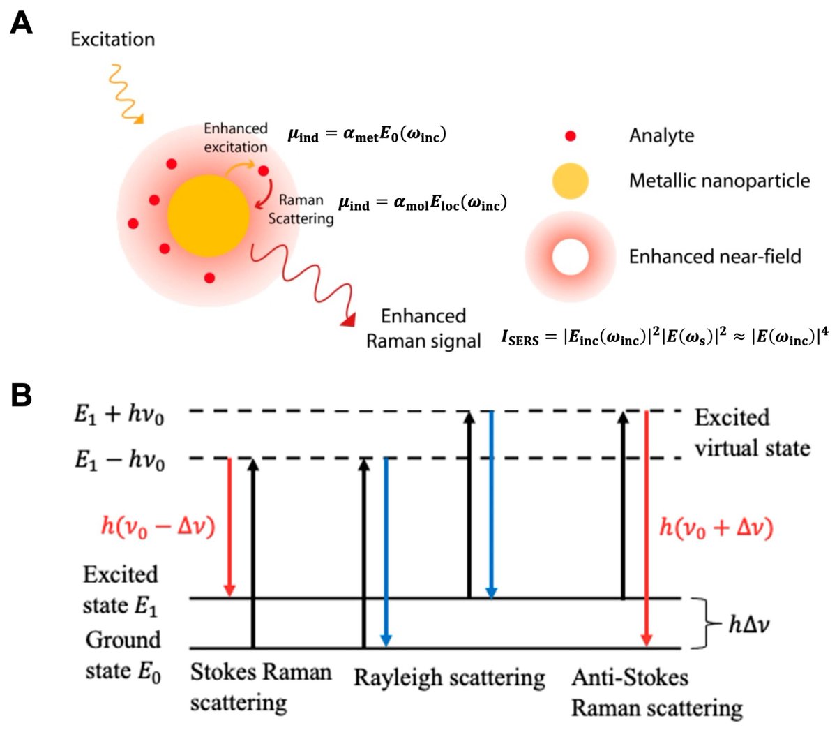 chemosens_MDPI's tweet image. #Review
Recent Advances in Rational Design and Engineering of Signal-Amplifying Substrates for Surface-Enhanced Raman Scattering-Based Bioassays by Song Gao, et al.
doi.org/10.3390/chemos…

@MDPIOpenAccess @NanjingUnivers1
#Ramanspectroscopy #SERSsubstrate #rationaldesign