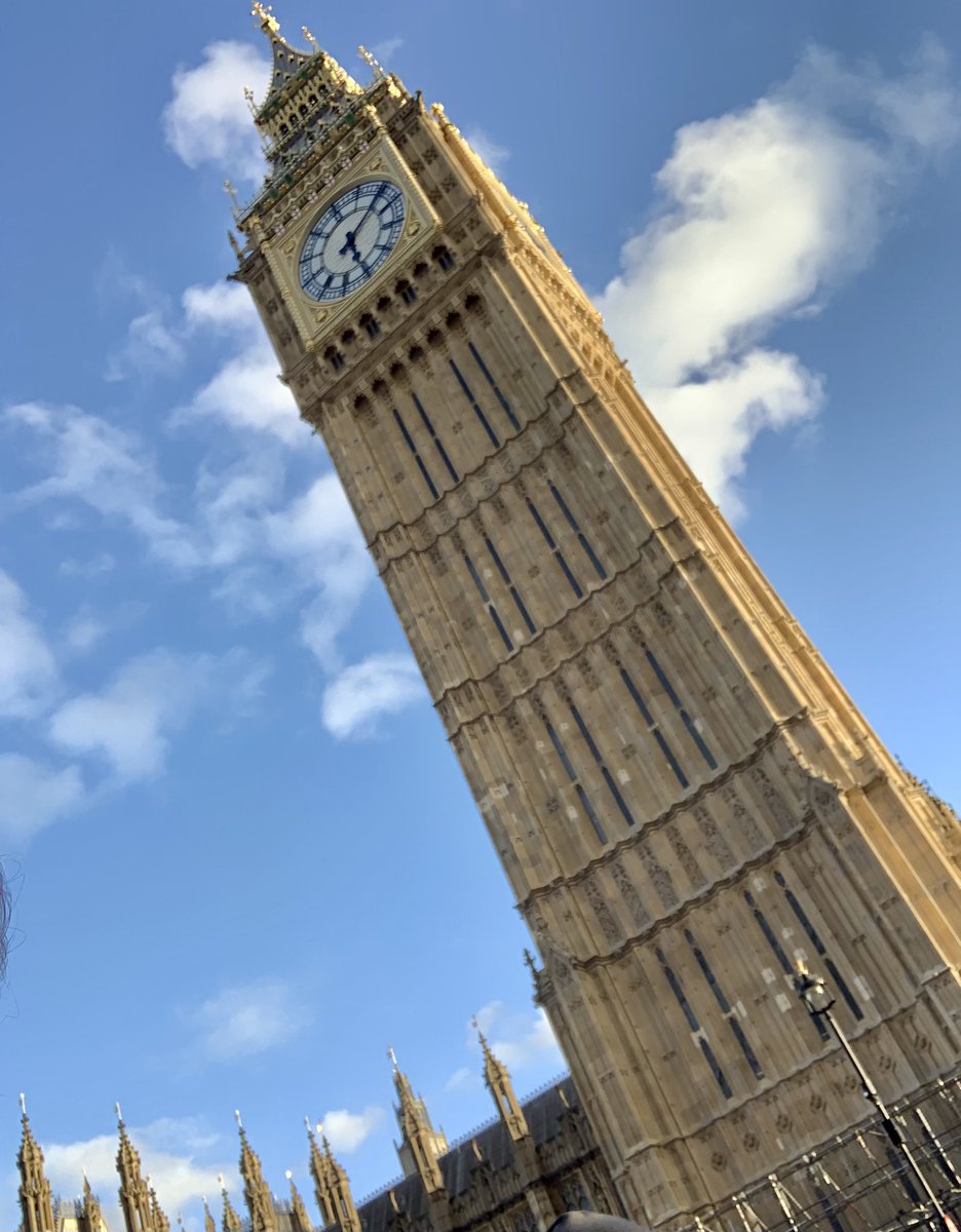 Emma Leahy 💚📚🏊🏻‍♀️🌍🌱 tweet media