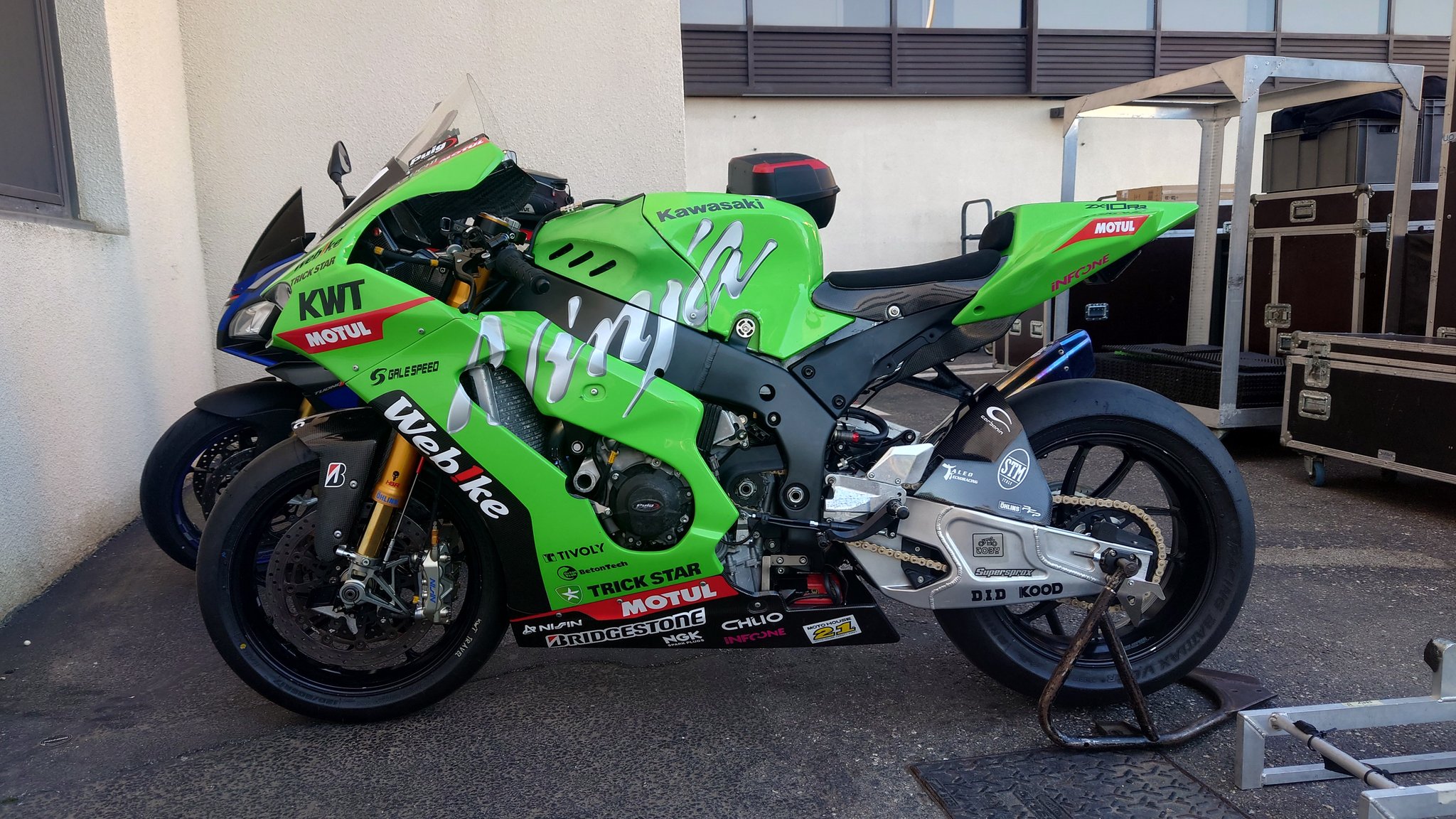 S*i様 タカトク　キングアロー タカトクトイス キングアロー (スタンダードサイズ) - GETNIPPON