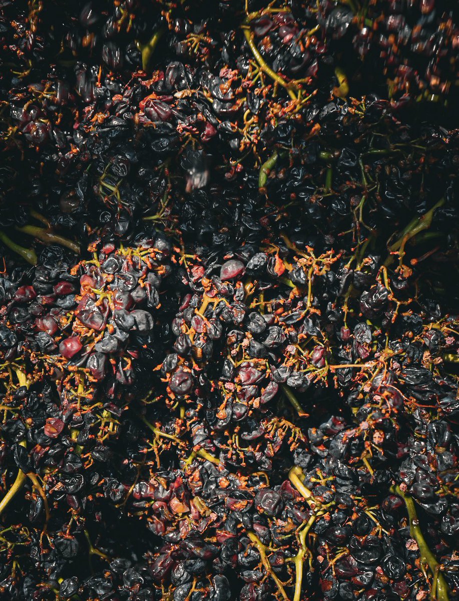 Venus La Universal tweet media