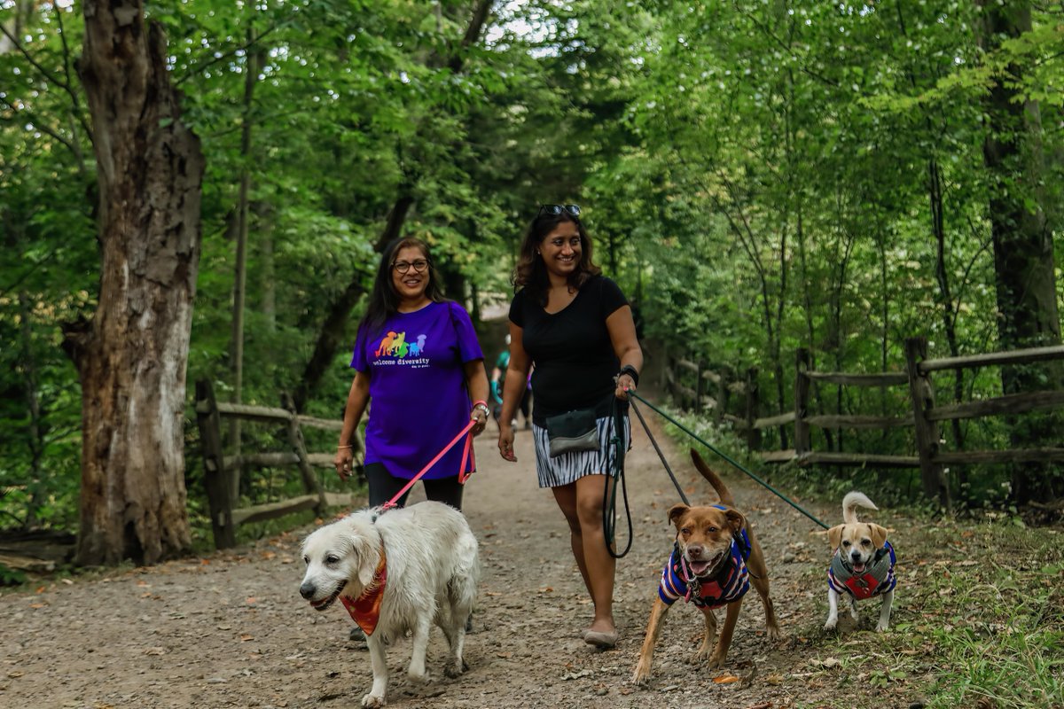 Buffalo’s Real Country 107.7 and 104.7 The Wolf (@thewolfbuffalo) on Twitter photo Let's spread love and compassion to all animals at the <a href="/YourSPCA/">Erie County SPCA, NY</a>’s Paws in the Park! Join in on the fun on Saturday, 9/27 at Knox Farm State Park to support homeless pets and wildlife! Lace up your shoes and register now: secure.qgiv.com/event/pitp25/! Let's spread love and compassion to all animals at the <a href="/YourSPCA/">Erie County SPCA, NY</a>’s Paws in the Park! Join in on the fun on Saturday, 9/27 at Knox Farm State Park to support homeless pets and wildlife! Lace up your shoes and register now: secure.qgiv.com/event/pitp25/!