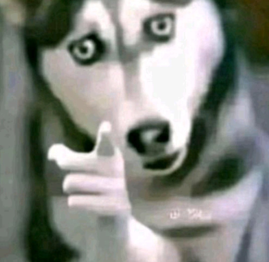 FritosOW's tweet image. Nah junk not getting the collab skin is a crime of the highest offense.