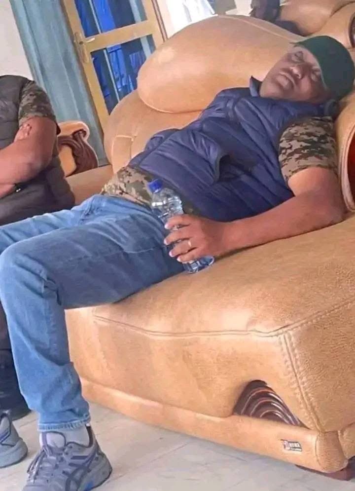 This ከብት he is in the beach wearing dressing shoes.. በጨረቃ ጥላ።  የሆነ አሳማ።  እናትህ ትበዳ የሰዉ ማፈሪያ።