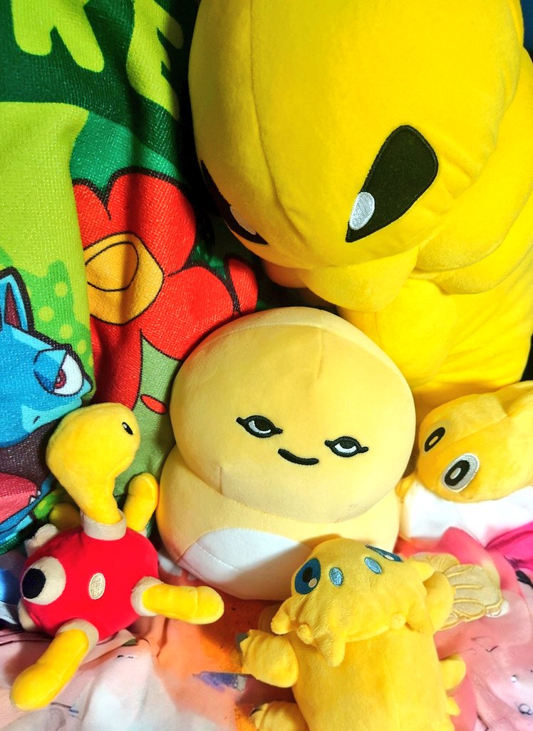 ideomoko's tweet photo. ポケモン沼から抜け出せないわたくし！⚡🌀  
ぬいぐるみ＆懐かしグッズを毎日わちゃわちゃ投稿してます！🧸📖  
「分かる！」「懐かしい！」って思ったらフォローして
みんなで一緒にポケモン沼であーそぼっ♪
#ポケモン #ぬい活 #ポケぬい https://t.co/eIOdMcOn1c