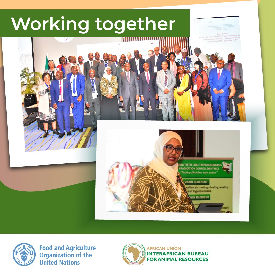 FAO Livestock (@faolivestock) on Twitter photo .<a href="/FAO/">Food and Agriculture Organization</a> and over 200 experts join <a href="/au_ibar/">AU-IBAR</a> for the 37th General Conference of the International Scientific Council for #Trypanosomosis Research and Control in #Kenya.
Read more:
👉au-ibar.org/events/37th-co…
👉fao.org/paat/en/
👉doi.org/10.4060/cd2022…
#OneHealth
#ISCTRC2025 .<a href="/FAO/">Food and Agriculture Organization</a> and over 200 experts join <a href="/au_ibar/">AU-IBAR</a> for the 37th General Conference of the International Scientific Council for #Trypanosomosis Research and Control in #Kenya.
Read more:
👉au-ibar.org/events/37th-co…
👉fao.org/paat/en/
👉doi.org/10.4060/cd2022…
#OneHealth
#ISCTRC2025