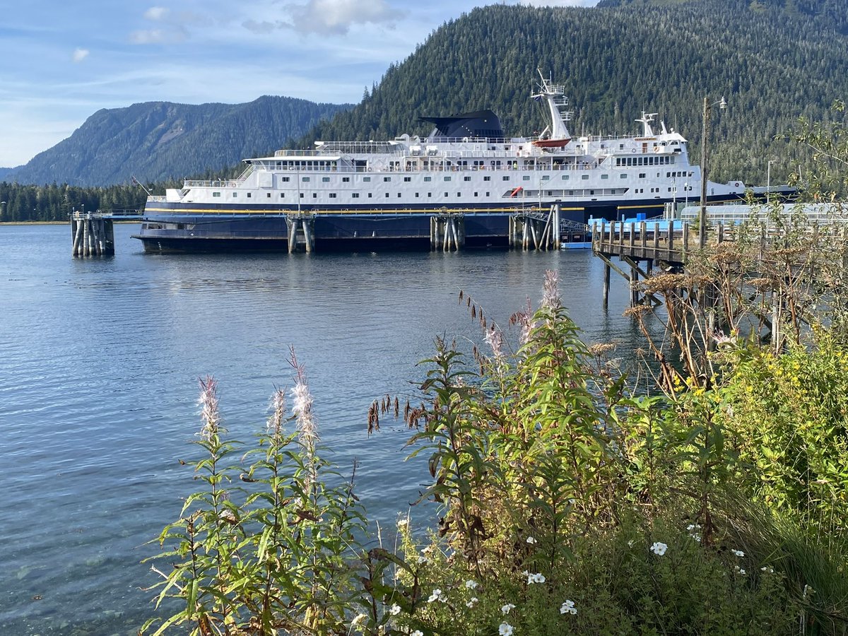 DonClotfelter's tweet photo. Late season ‘tourist travel’ on ferry MVColumbia ⛴️ 🌊
#InsidePassage #Alaska
@wheeler244 @TheresaArbowOC @G8rgrrlCheryl @snufflewort @JLWCPA2 @ShannonODKOMO @RandySmall @KristinLRaught https://t.co/VBgV5ZJT3v