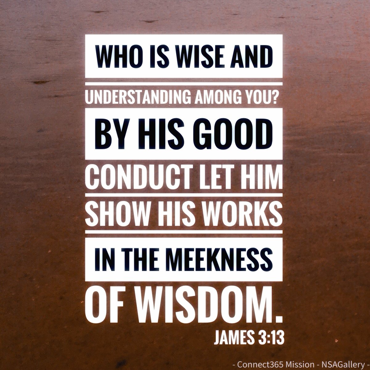 Michael P Ascani (@savlifeonline) on Twitter photo 