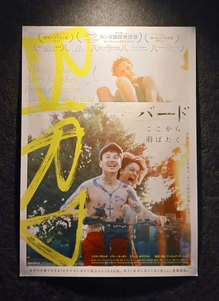 映画「バード ここから羽ばたく」観ました。孤独に抗う少女が生物への優しい眼差しと鳥人間との出会いで成長し、人生がひらかれていくかなお伽噺。ガマの分泌には古えのブリットポップが必須。良かった。