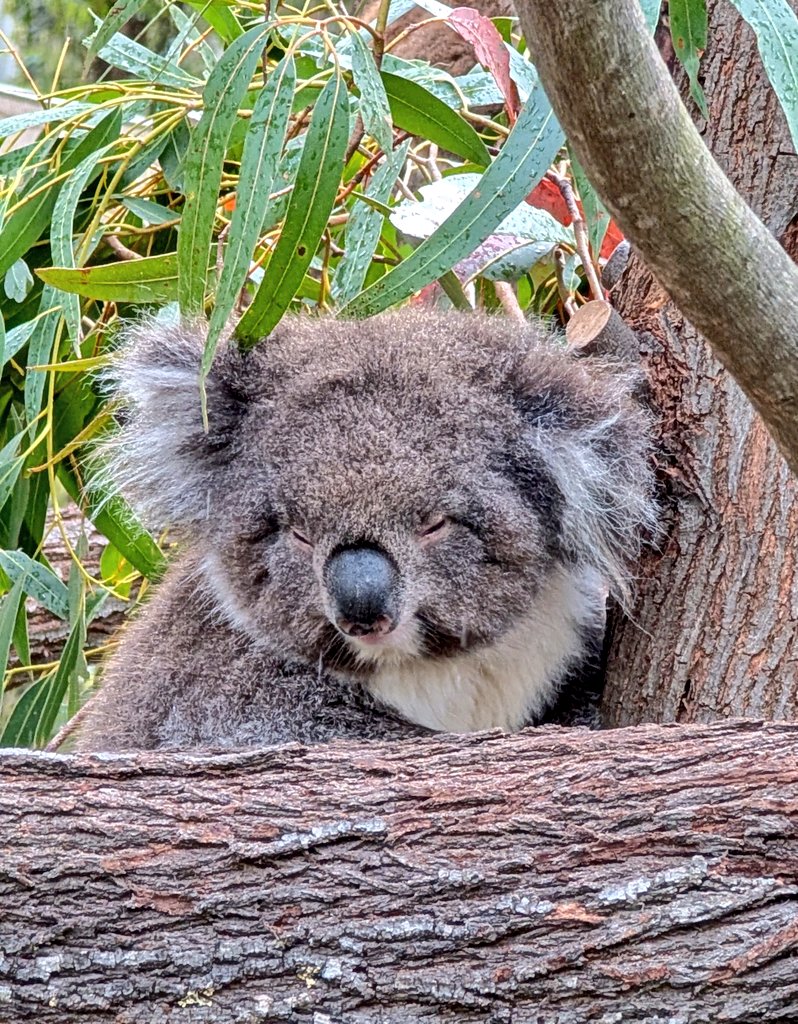 John Cooper tweet media