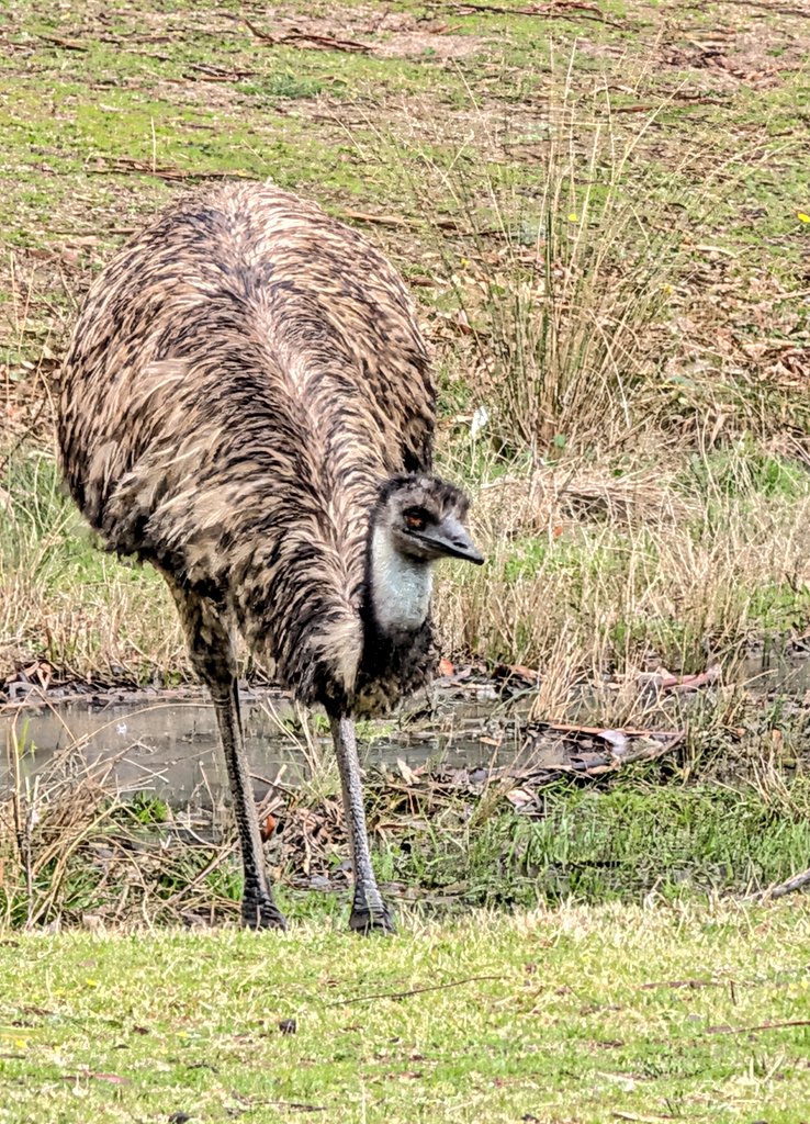 John Cooper tweet media