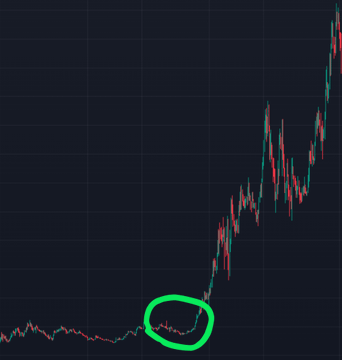 WHICH ALTCOIN WILL DO THIS NEXT ?