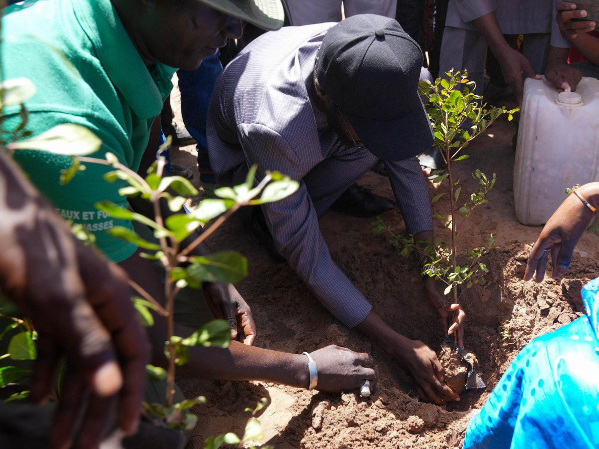 amuyakar_Ndoy's tweet image. 💡Clap de fin sur les cérémonies de mise en service des villages électrifiés dans les régions de Kaolack et Kaffrine. 8 nouveaux villages électrifiés ✅

📍Darou Salam 2, Taba, Thiakhathie Mouride, Thiekene Mouride, Darou Dame Laye, Kayi, Keur Bidji, Maodo Peulh !
#Aser #Senelec