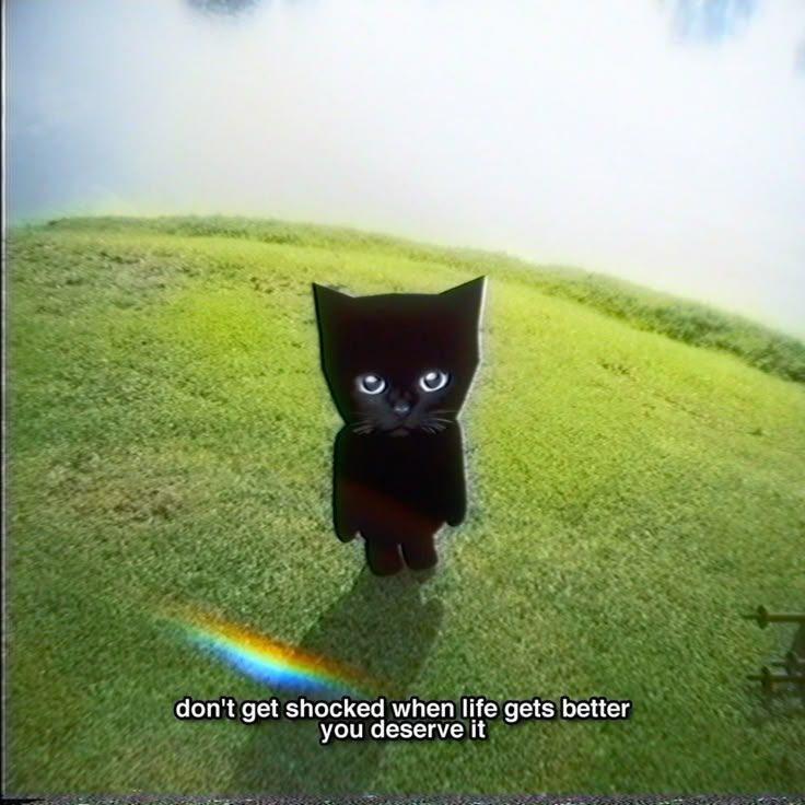 ɢᴍ ≽^• ˕ • ྀི≼