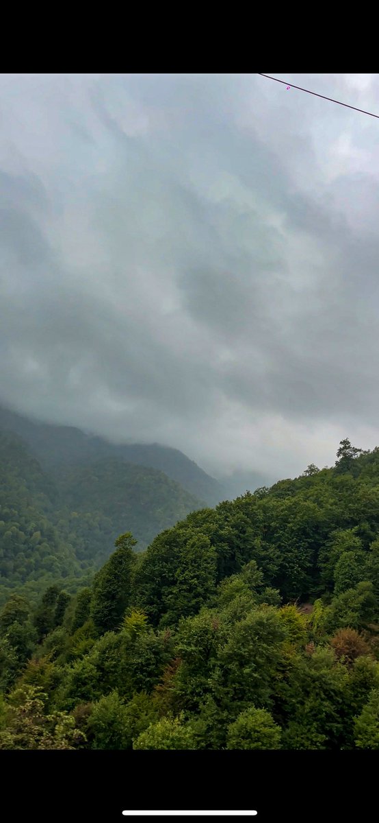 salehabsii's tweet image. گیلان یه تیکه از بهشته🤌🏽