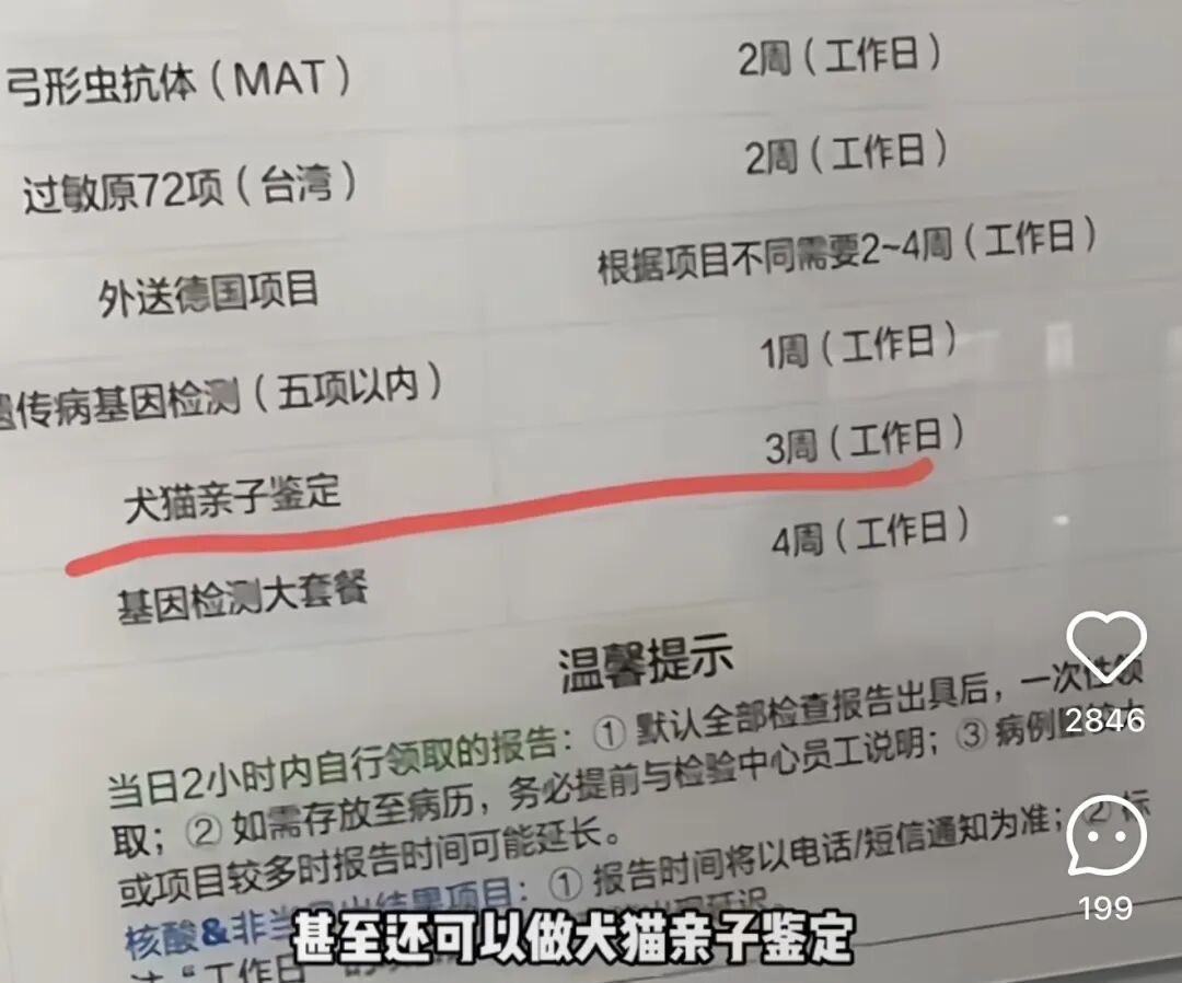 jessyshen's tweet photo. 都说中国经济下行

很多人哭诉生活困难

但是

中国人去年在宠物身上花了3000亿

宠物医院的收费比人类三甲还贵

钱多到要给猫狗做亲子鉴定

冰火两重天

中国有钱人还是多 https://t.co/Tx3Z71i9vc