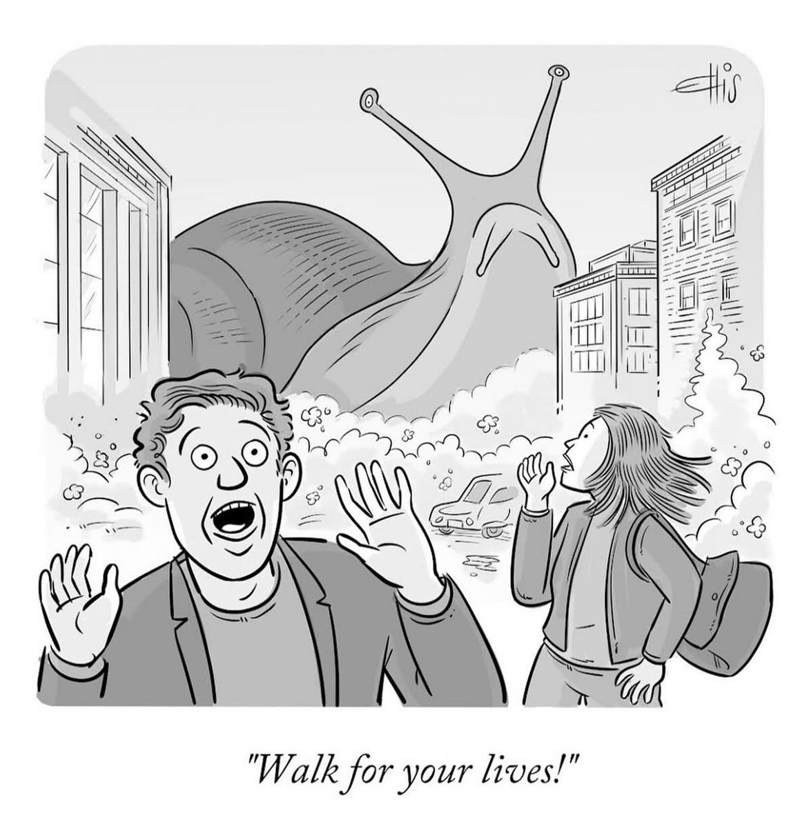 Still one of the best. From Ellie Rosen.