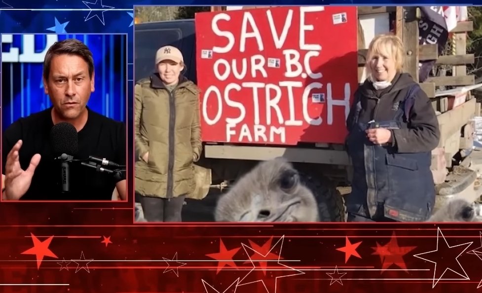 SaveTheOstriches tweet media
