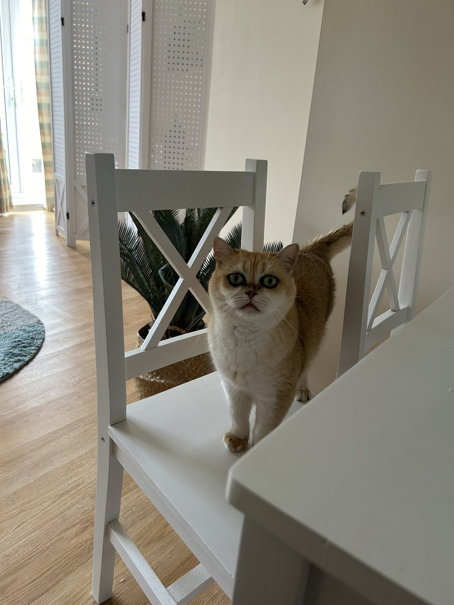 girl who has no idea what you’re eating but wants it anyway