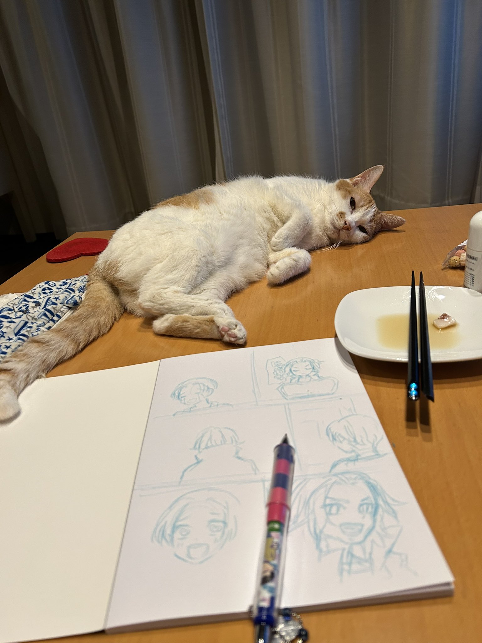 ねぎこページ ねぎ9/21卍パチ原稿 (@neginegiko) / X