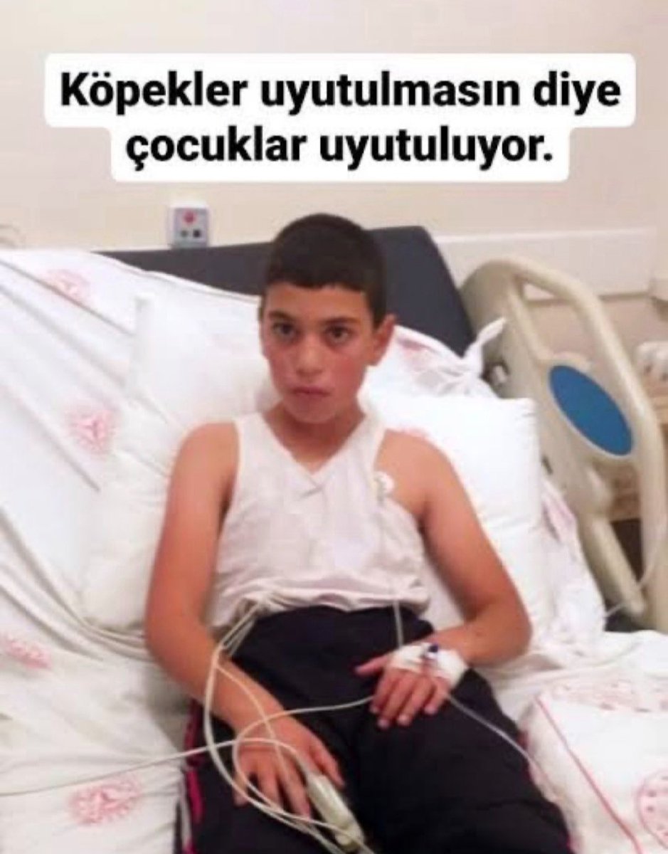 Köpekler çocuklardan değerli olamaz❗

Başıboş #KöpekTerörü var bu Ülke'de❗