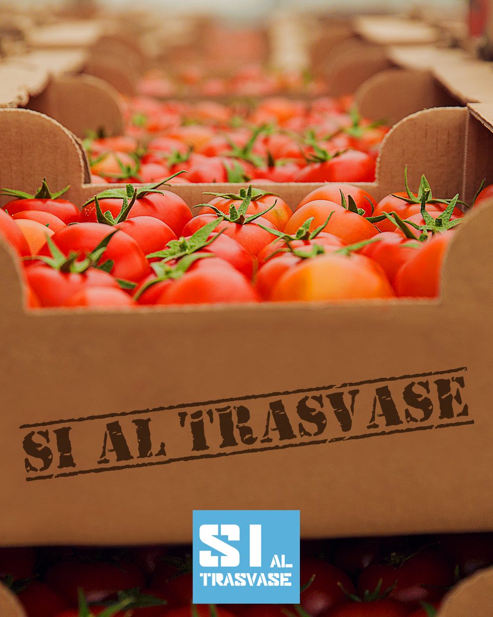 Los productos agrícolas del Levante tienen tres sellos inconfundibles: el del sabor, el de la calidad y el de #SiAlTrasvase.

Porque el agua del Trasvase Tajo-Segura asegura que los agricultores levantinos cultiven los mejores productos saludables.