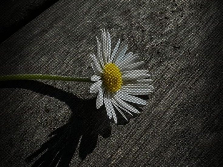 “Zâyi olmuş bir heves yığınıyla, kalakalır insan.”