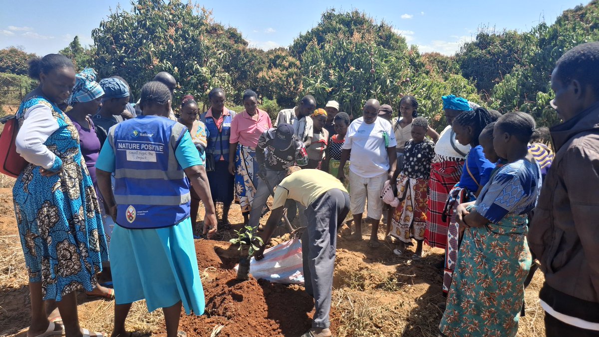 NCCK Nature Positive Food Systems tweet media
