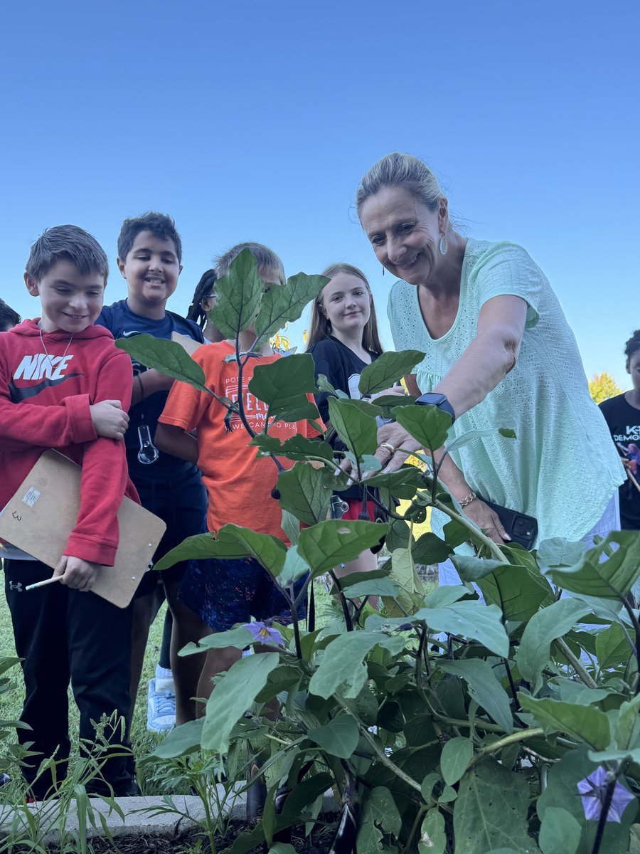 Maria Paoli-Vega tweet media