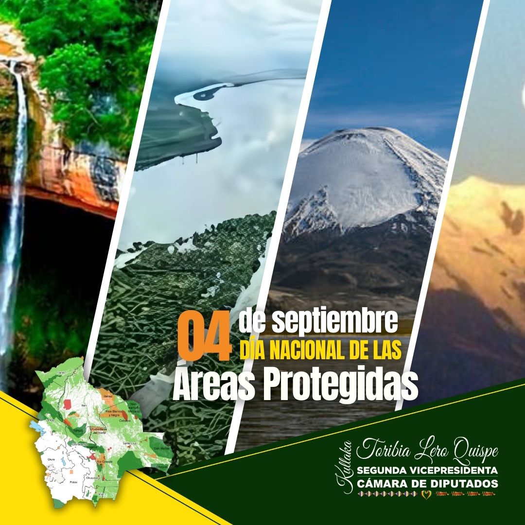LeroToribia's tweet photo. Reafirmo mi compromiso con la defensa de territorios que son vida, memoria y futuro de Bolivia. Las áreas protegidas resguardan nuestra biodiversidad, agua, cultura y territorios ancestrales. Hoy están amenazadas por políticas extractivistas, leyes incendiarias y asedio estatal https://t.co/WmBesPXMFS