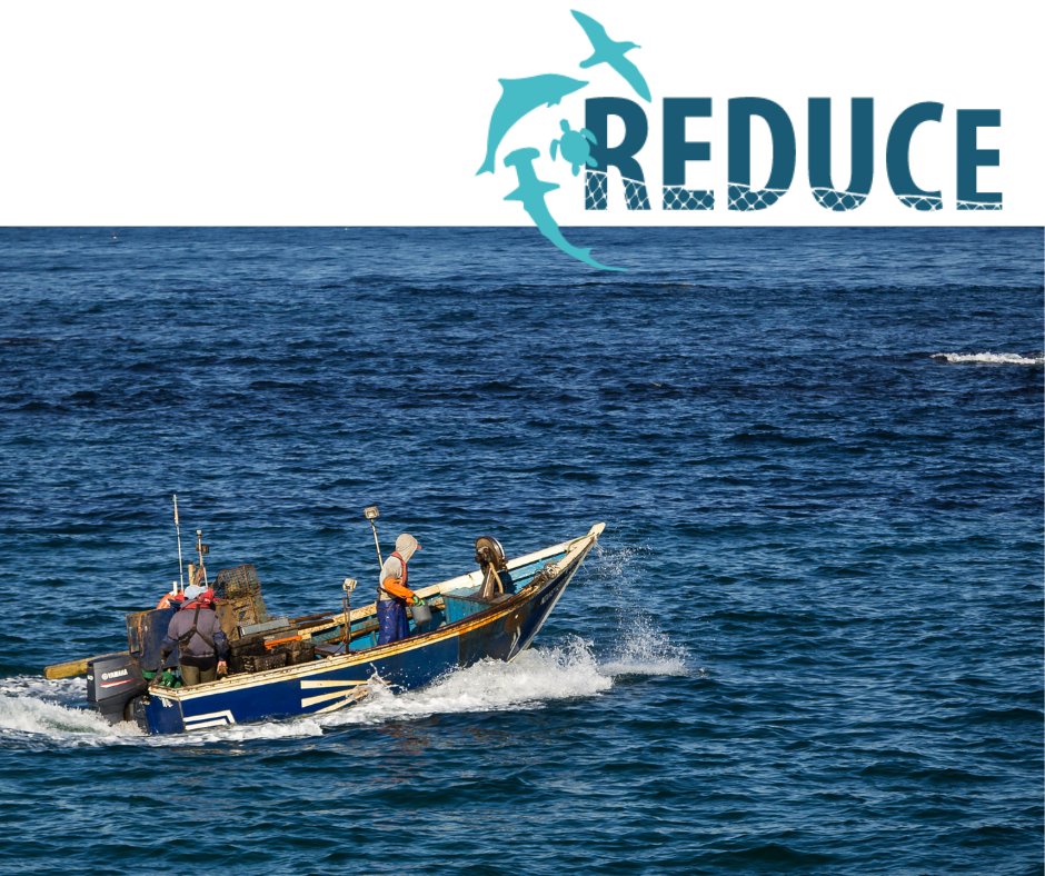 ReduceProject's tweet image. After finishing internal discussions on financial, administrative and technical reporting update, the second day of this Annual Meeting comes to an end.
We have enjoyed exciting interventions that pointed promising networking with Africa and EU key players.
We see you tomorrow!