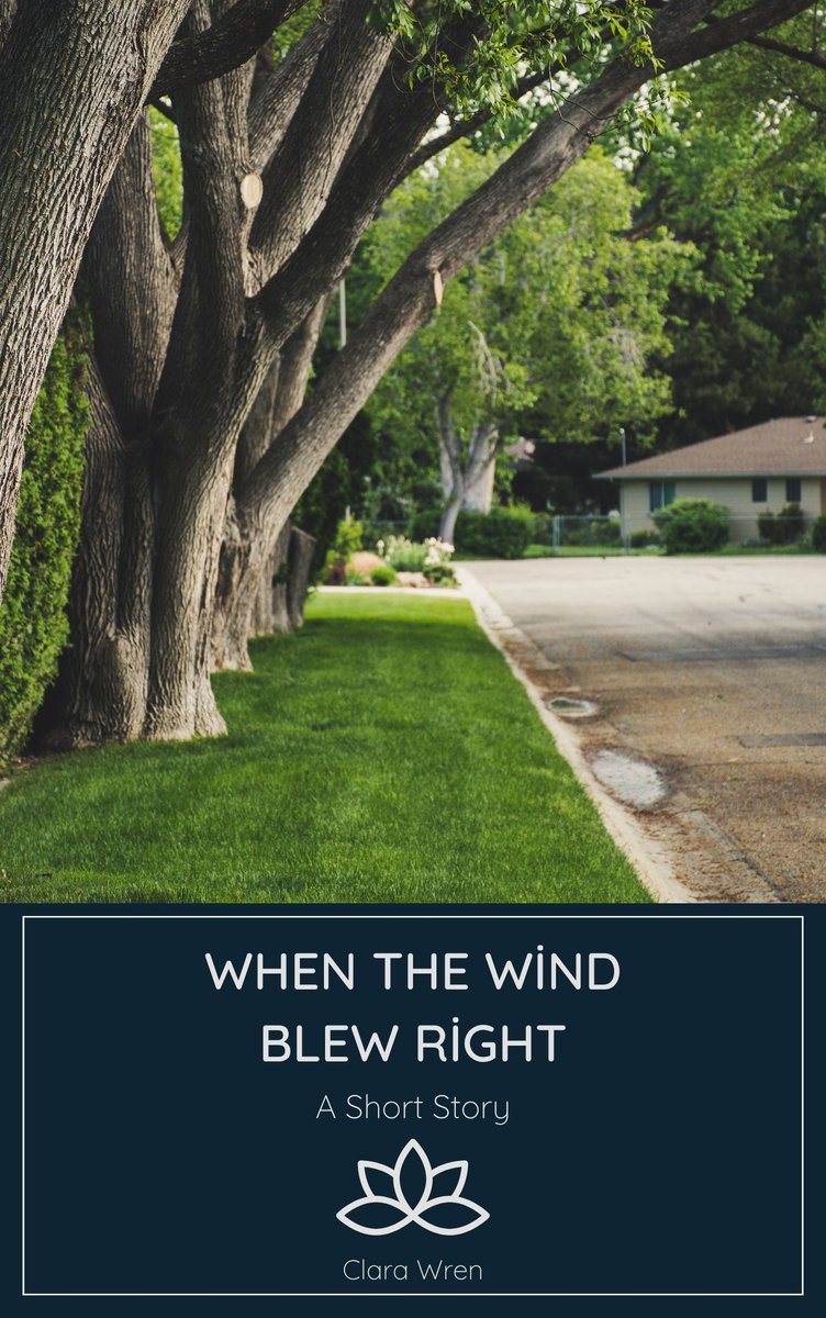 LitLaunch Publishing tweet media