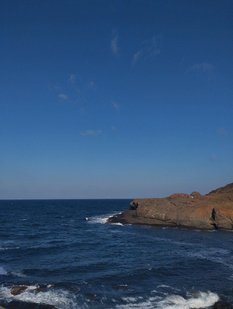 إلى فتنة الإيقاع
قادت قصائدي
إلى البحر
أرخت حُزنها
وتدلَّتِ

• النزول إلى الماء