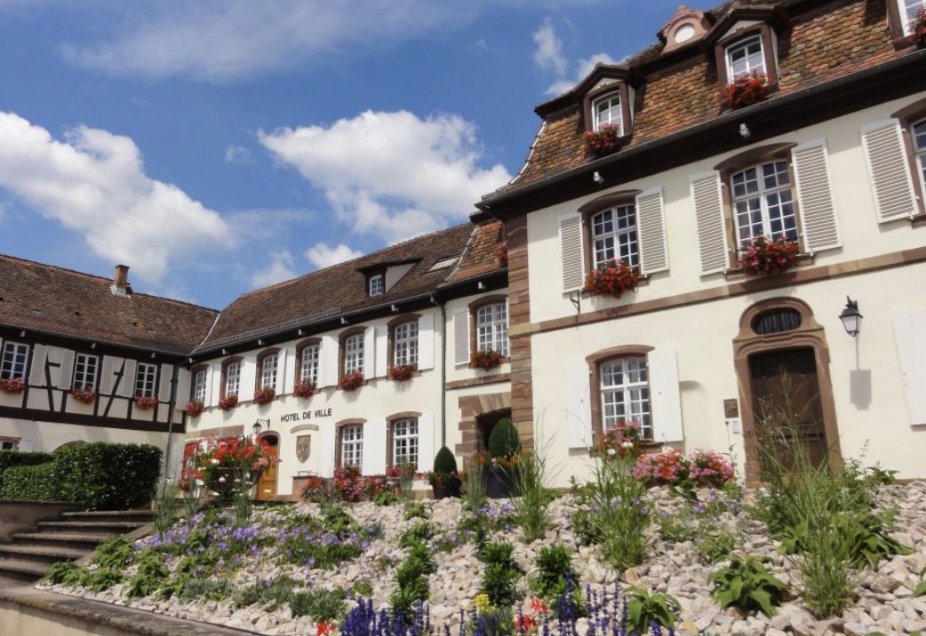 Marlenheim (67): deux migrants algériens sous OQTF condamnés pour l'agression "aussi violente que lâche" commise sur une femme âgée de 82 ans
 fdesouche.com/2025/09/04/mar…