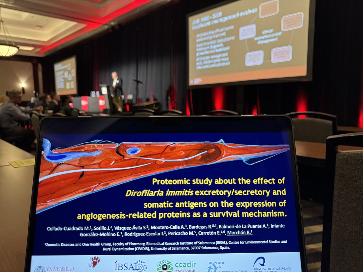 Rodrigo Morchón García tweet media