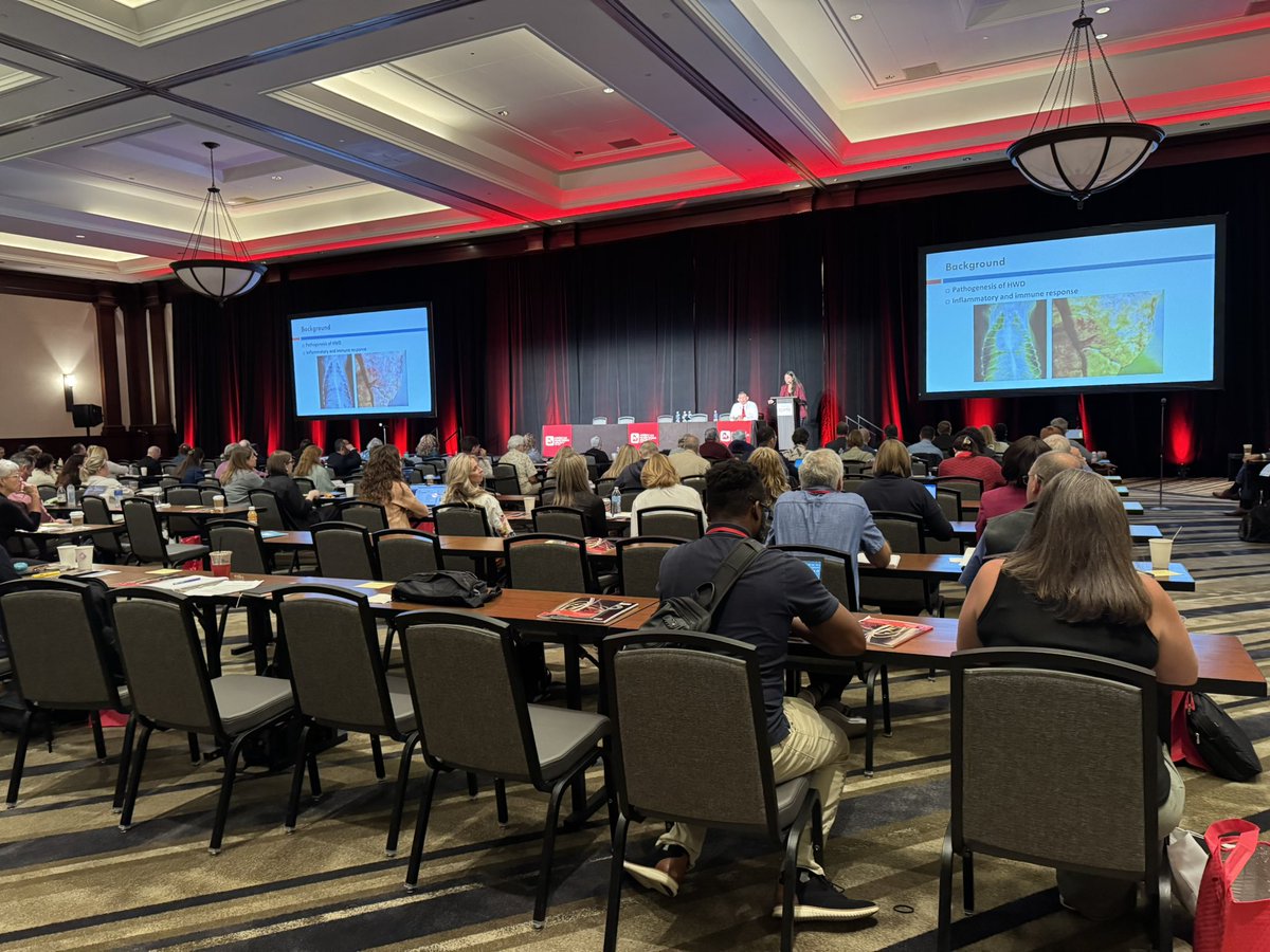 Rodrigo Morchón García tweet media