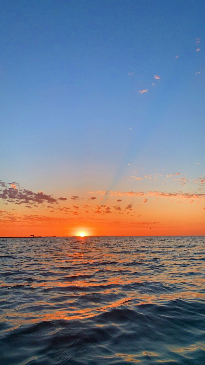 ocean (@hawsett4) on Twitter photo 