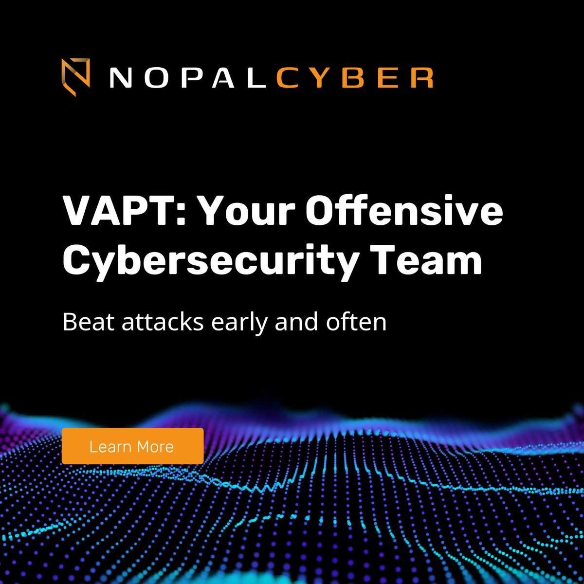 NopalCyber tweet media