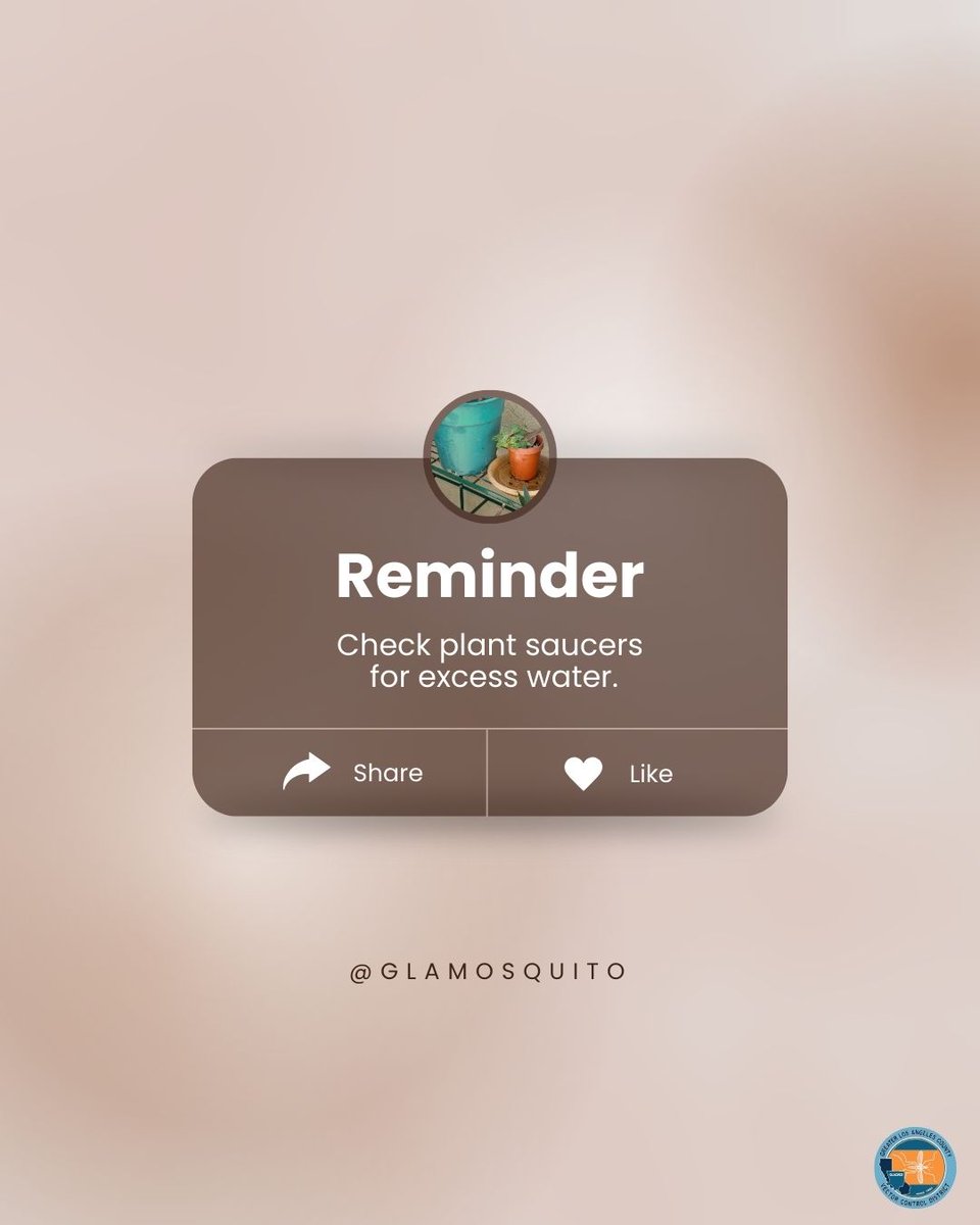 Check plant saucers and pots. Water that collects in the bottom of planters is one of the most overlooked mosquito sources. Empty and refresh them often to keep your plants healthy and your yard mosquito bite-free.