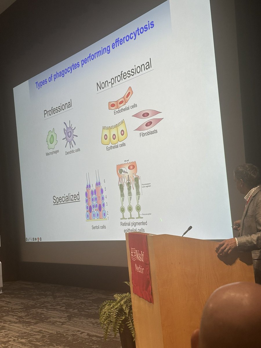 Eynav Klechevsky tweet media