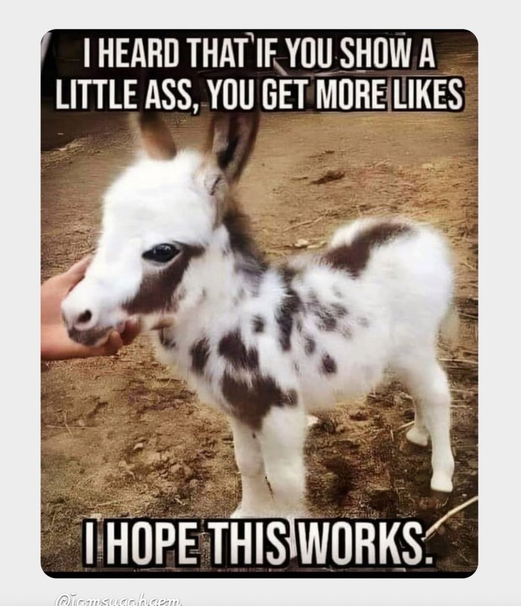 Kaylazgotnofilter (@kaylazgotnofil1) on Twitter photo 