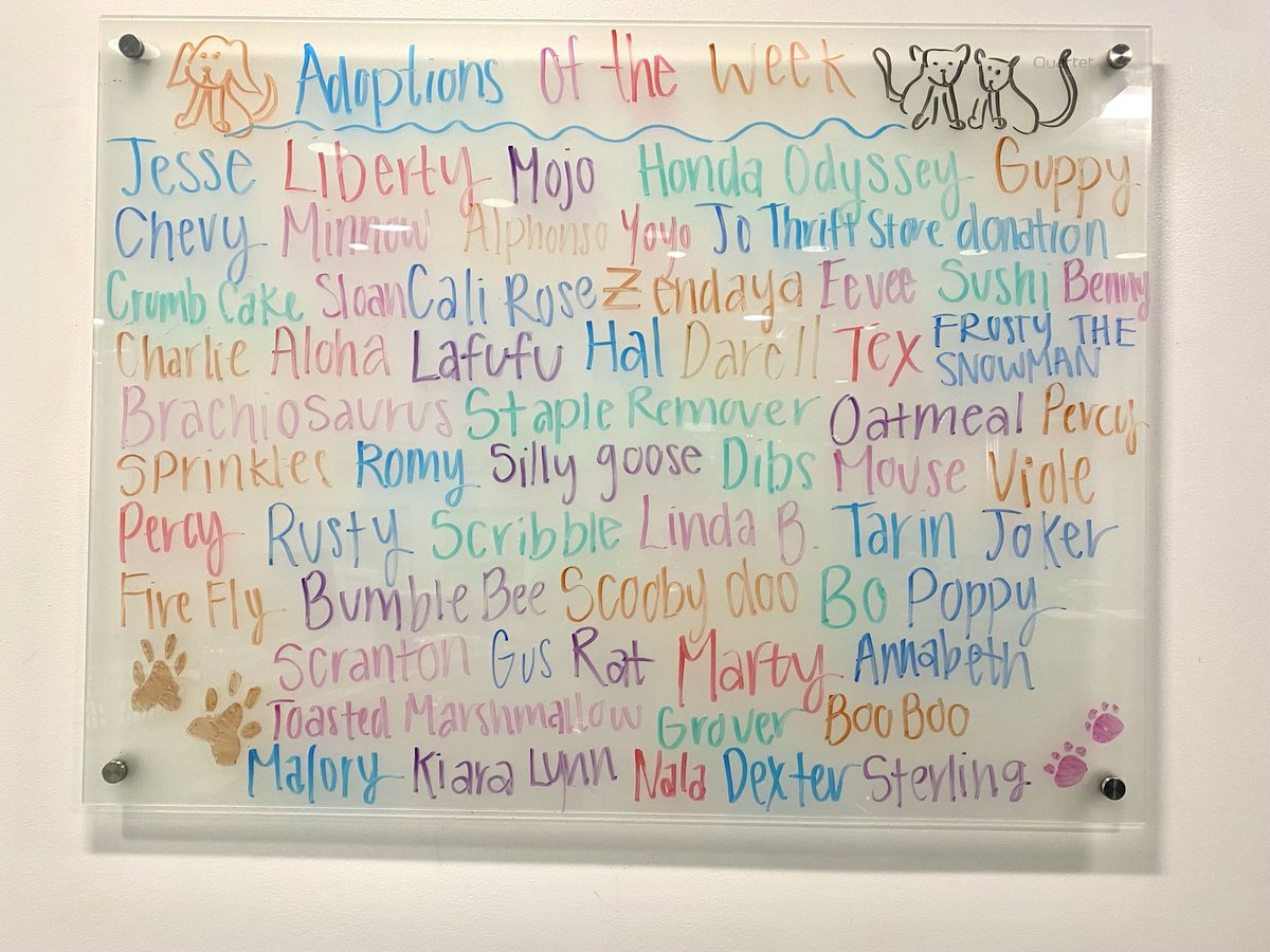 Placer SPCA tweet media