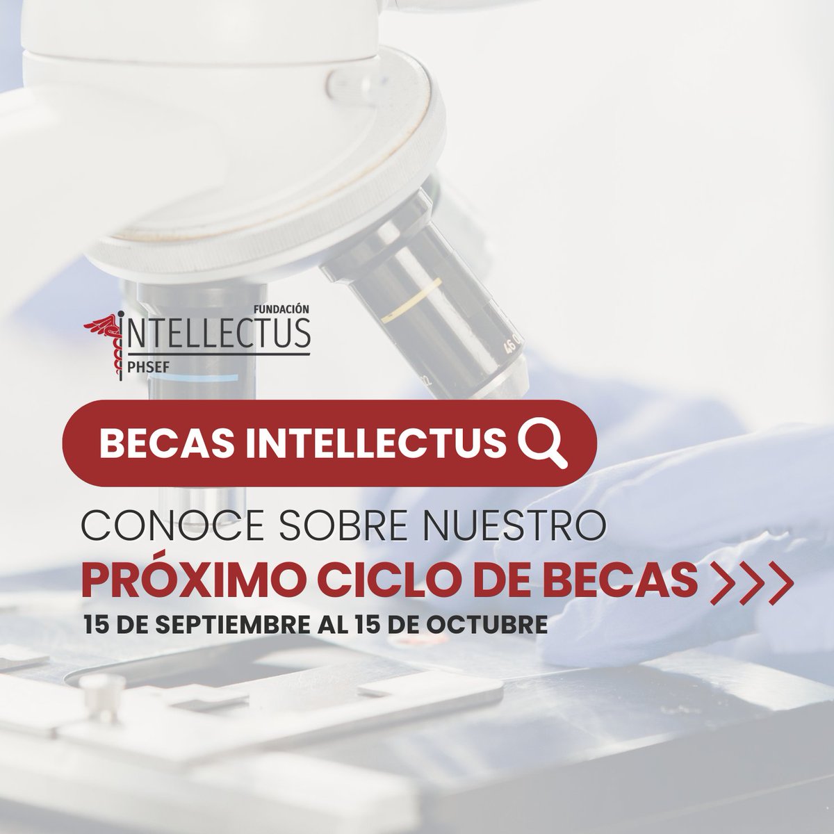 IntellectusPR's tweet image. Conoce las becas que próximamente estarán disponibles para estudiantes universitarios y de medicina. El 15 de septiembre abrimos la convocatoria para las becas de investigación:
- Investigación en Salud
- Investigación sobre la Violencia Sexual 
Accede a fundacionintellectus.com/becas/