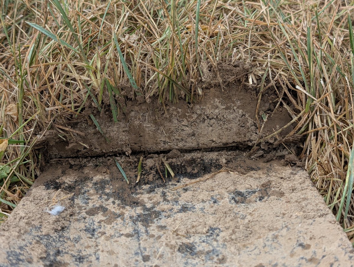 skream's tweet image. 0.6” here in East Jessamine.  Hard to penetrate this ground. No help for the trees yet. @Kentuckyweather #kywx