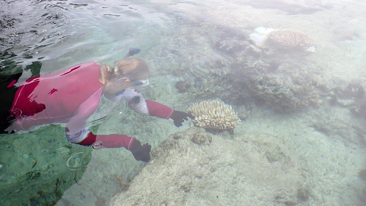 Blue Belt Programme (@ukgovbluebelt) on Twitter photo This month, the Blue Belt #PitcairnExpedition2025 arrives in the <a href="/PitcairnMPA/">Pitcairn MPA</a>!
A team of 6 scientists will join the local community to study the Pitcairn Islands’ unique marine environment within its #MPA.
Follow along as we provide updates over the next month! This month, the Blue Belt #PitcairnExpedition2025 arrives in the <a href="/PitcairnMPA/">Pitcairn MPA</a>!
A team of 6 scientists will join the local community to study the Pitcairn Islands’ unique marine environment within its #MPA.
Follow along as we provide updates over the next month!