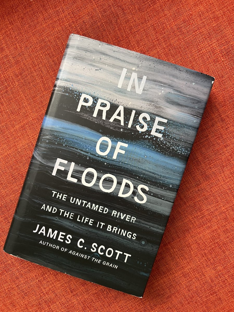 David Moe tweet media