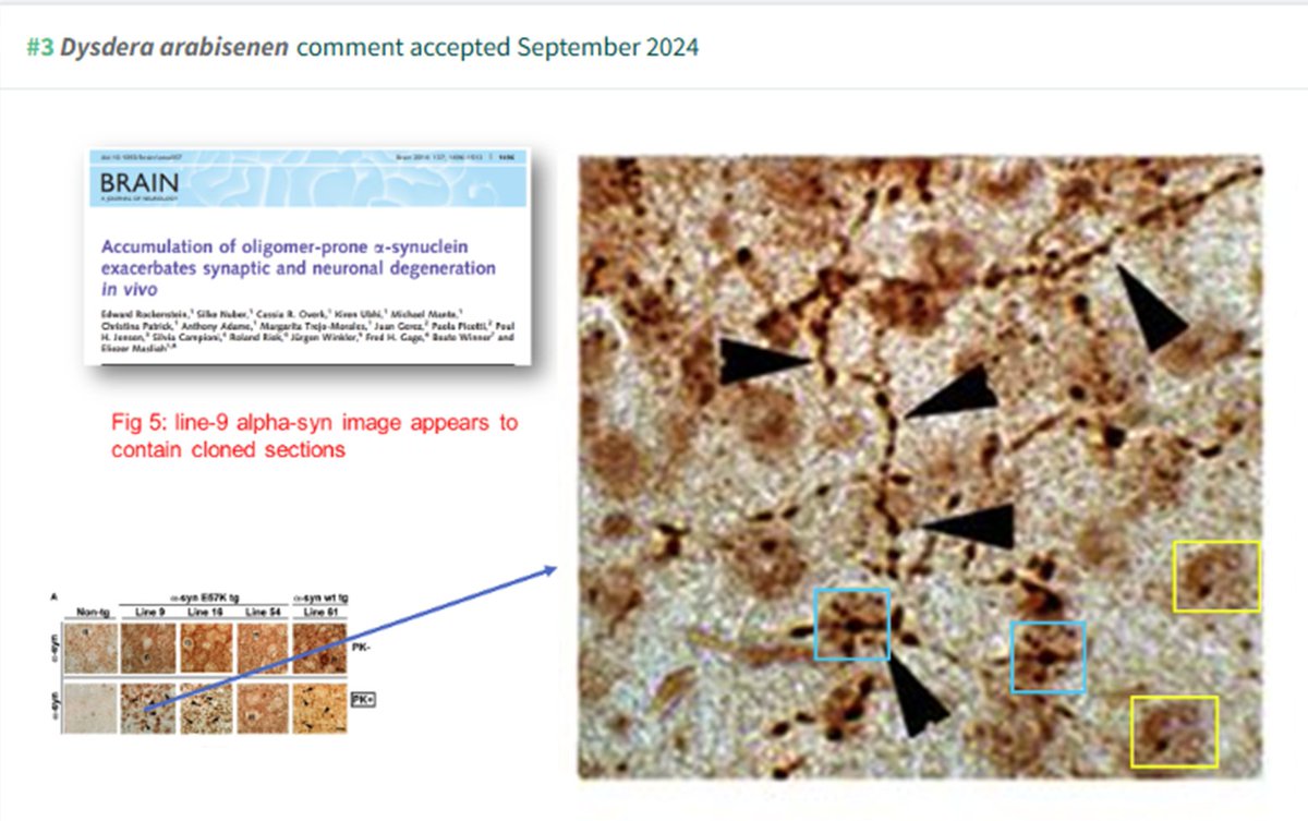 THIS one was CORRECTED?! I need explanations.