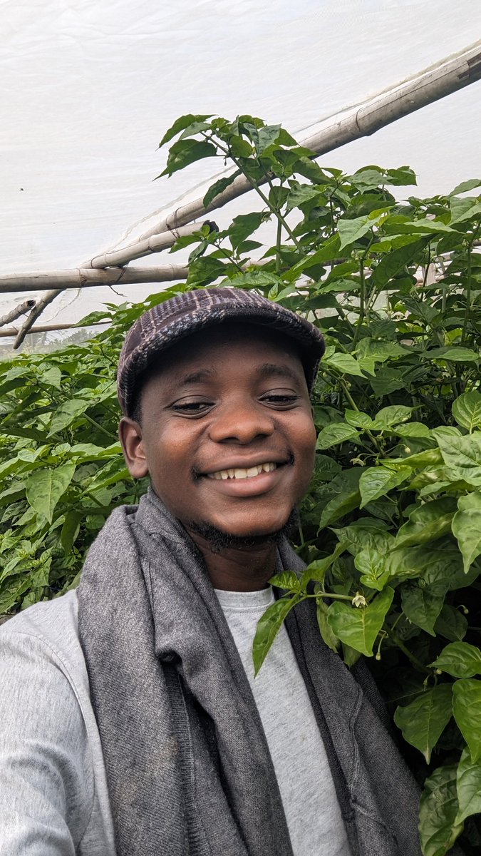 Raynative Smart Farm 🇳🇬 tweet media