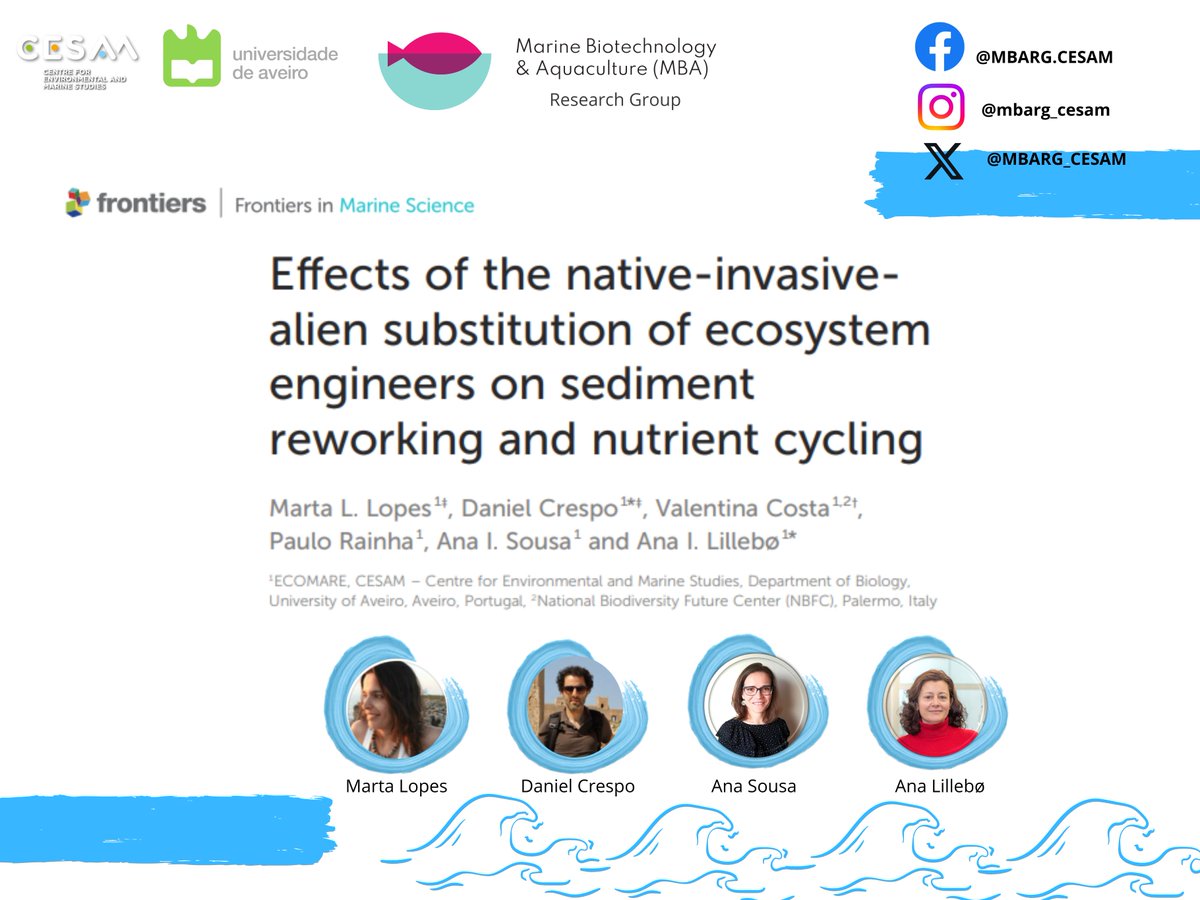 MBARG_CESAM's tweet image. MBA researchers👩‍🔬👨‍🔬are authors of a paper that aimed to evaluate the effects of the incremental substitution of  #Diopatra spp. by #Arenicola spp.🪱, in Ria de Aveiro,  on proxies of #ecosystemfunctioning, such as nutrient dynamics.
doi.org/10.3389/fmars.…
#cesam_univ
@cesam_univ