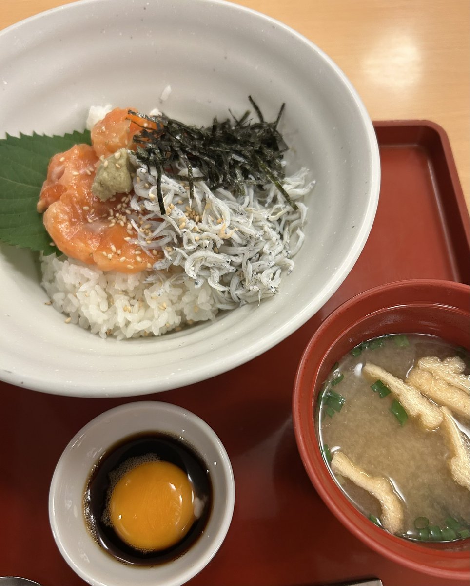 yasuhiday's tweet photo. 黄身に届け丼をキメます🍳めっちゃ疲れた🥱今週下道だけで既に1000キロ以上走ってて腰が痛い🚗
#fromme2u https://t.co/YHh9WEb905