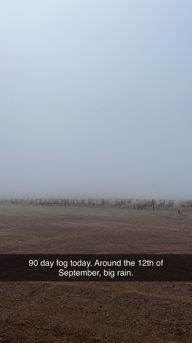 Tom Cook tweet media